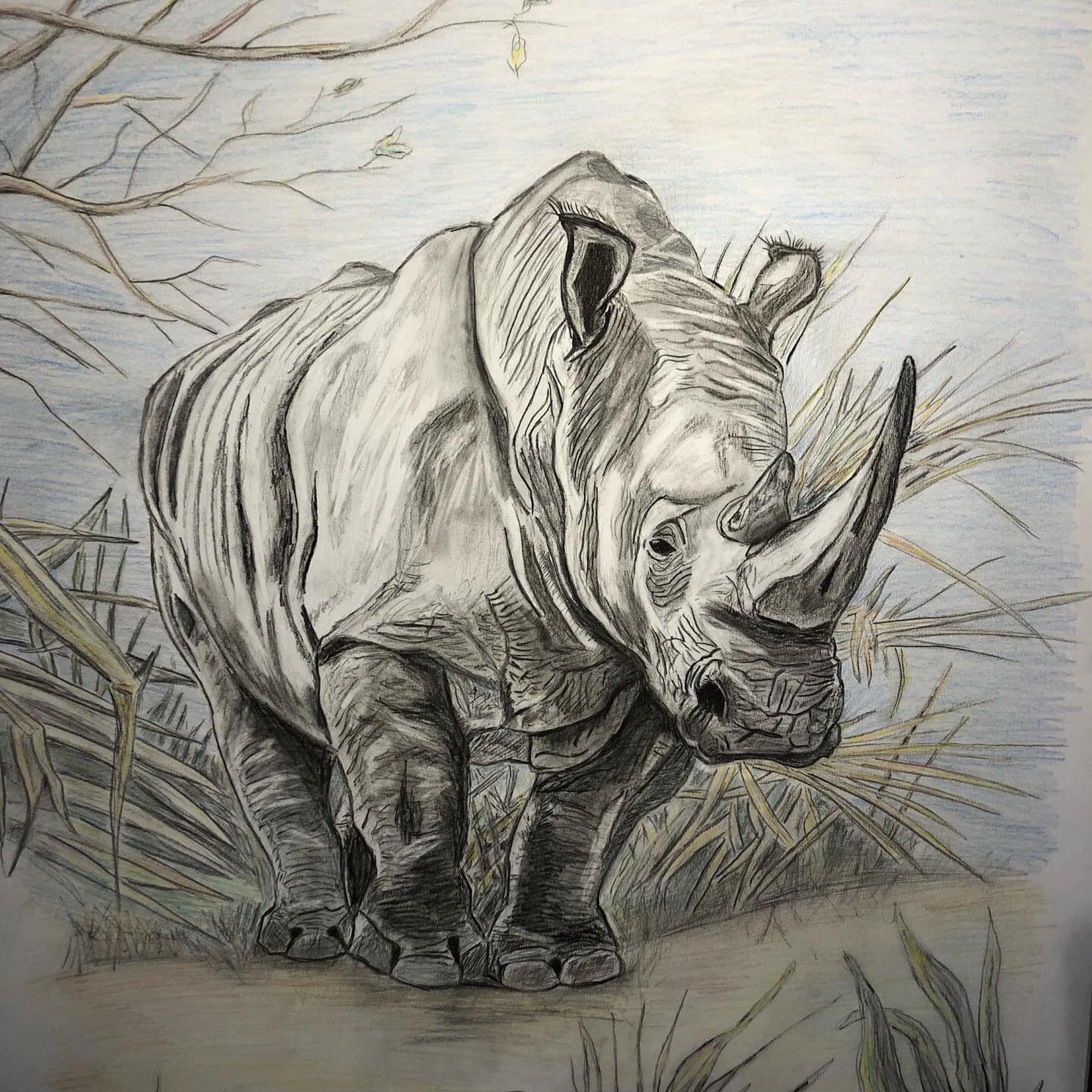 Nashorn
